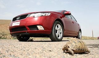 ����� ����� KIA �������� �����������