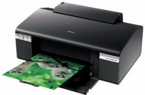 Epson Stylus Photo R295