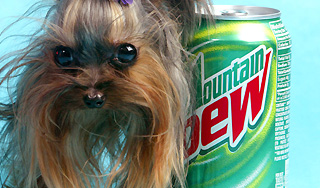 ��������� Pepsi ���������� �����