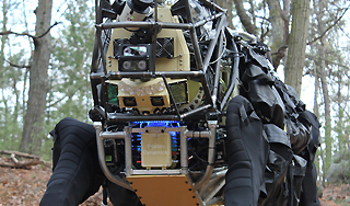 DARPA �������� � ���� ������ AlphaDog