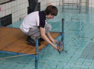 ����: smolgazeta.ru
