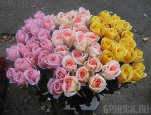 ����: floristic.ru