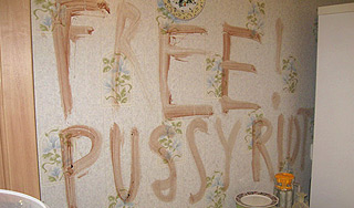 ������ ���������� ������� Pussy Riot