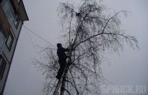 ����: vk.com/pravo_na_zhizn32