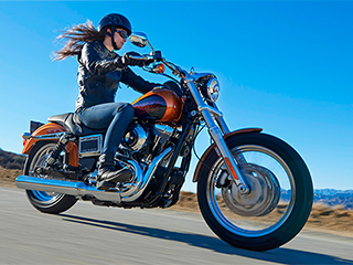 Harley-Davidson �������� 4,5 ����� ����������