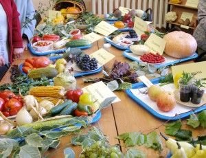 scilib.debryansk.ru