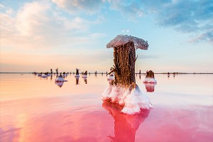 � ����� ���������� ������ ������� ����