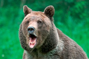 � ��� ������������� ������� ������� ������