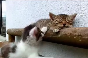 ��� YouTube: ������� ������ ����� �������
