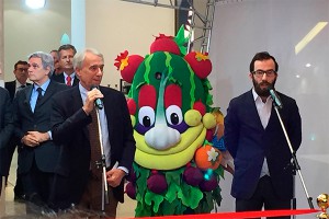 ��� ������ �������� � ������ ����� ��������