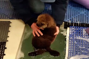 ������-���� ��������� ������� �����������