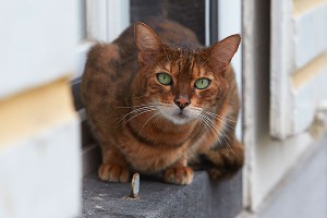 ����� �������� �������� �������� � ������