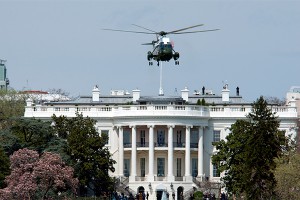 ��� �������� ������ �� 11 ��������