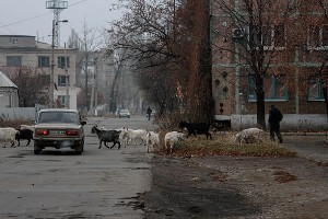 � ������� ����� ��������� ���������