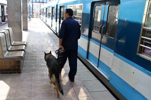 � ������ "������������" 26 ��������