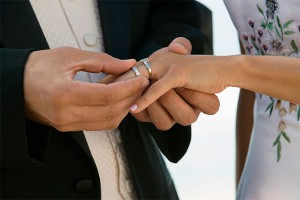 � ������ ������� �������� �������� �� �������