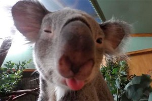 ����� � ������� ��������� ������ �����