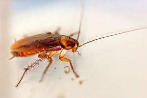 ���������� �������� ����� ��������� � ���