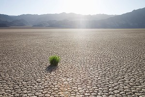 ������: ��� ��������� ������ �����������