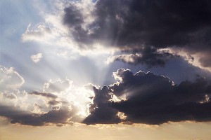 ��������� ��� ����������� ��� �����