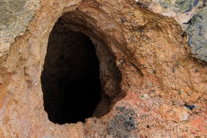 � ������ ����� ������ ������� �������