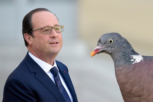 ������ ����������� �������� ������
