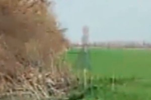 ������� �������� ���� ����� �� �����