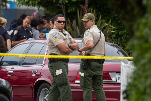 � ��� ������ ������� ��������� �����������