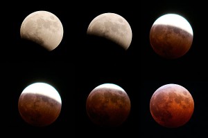 ��� ������� ����� �������� ������ ��������