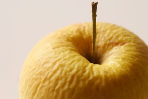������ ���������� ��� � ������ �����