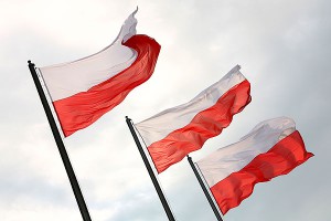 � ������ ������ ������ ������ ���������