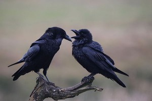 ����� ����� ������� �� �������� � ���������