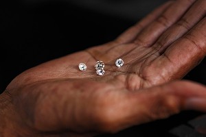 � ������ ������ ����� ��������� ���������
