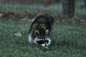 � �������� ��������� ������������� ����