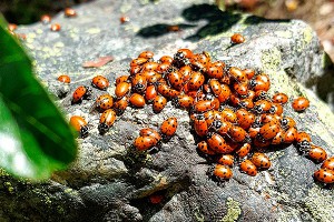 � ��� ���� ��������� � ����� 72 ������ �����