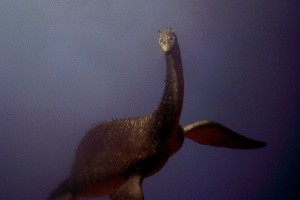 ��� ����������� ����� �������� ���������