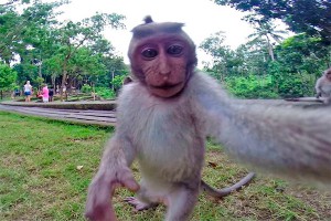 ������ ��������� GoPro � ������� �����