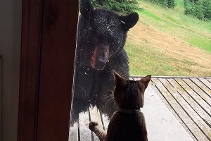 �� ������ ����� �� ����� �������� �������