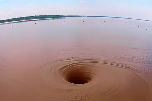 � ��� �������� "������ � ��"