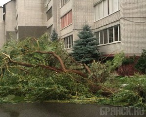 ����: vk.com