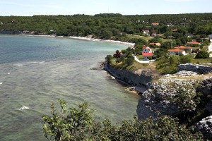 � ������ ����� "�������" ���������