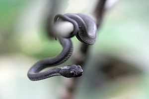������� ������ ��������� ������