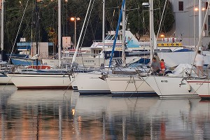 � ���� ������ ���� ����������