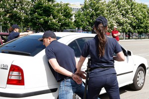 � ������ 30 ���������� �������� �����������