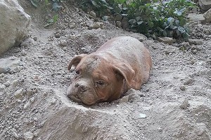 ������� � ���� �� ������ ����������� ������