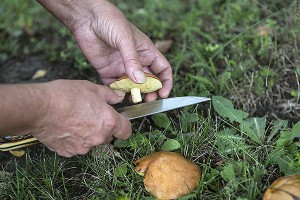 � ����������� ������ � ������ ����� ��������