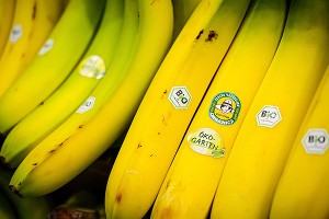 � ������ ����� ������� ���� �� ������