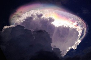 ������ � �����-���� ������� �� ����� �����