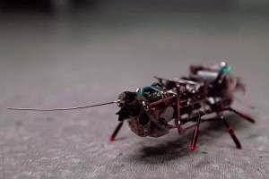 ���������� ������ ������� ��������-������