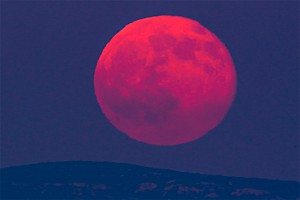 ��� ����������� "�������� ���������"